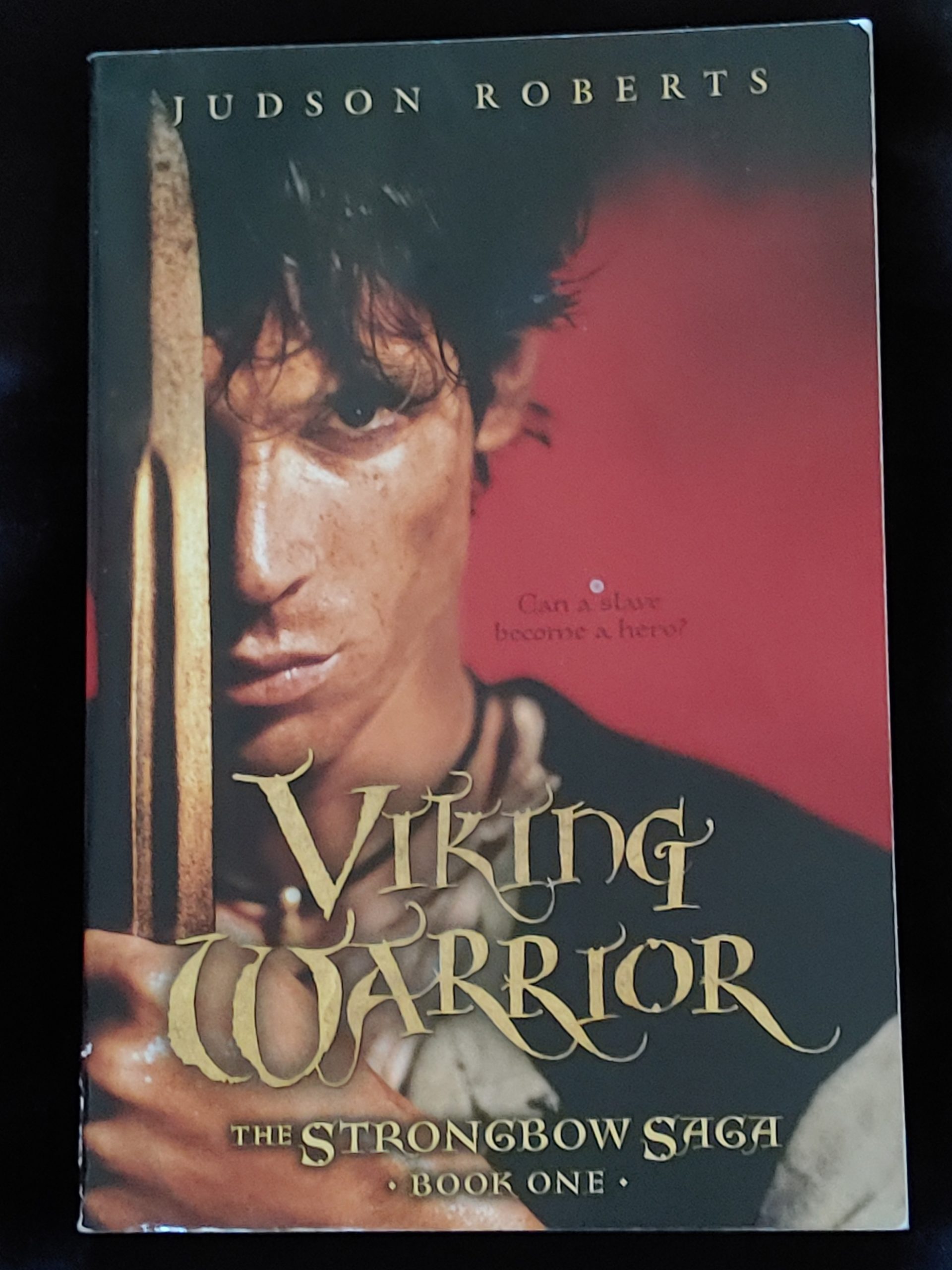 Viking Warrior by Judson Roberts