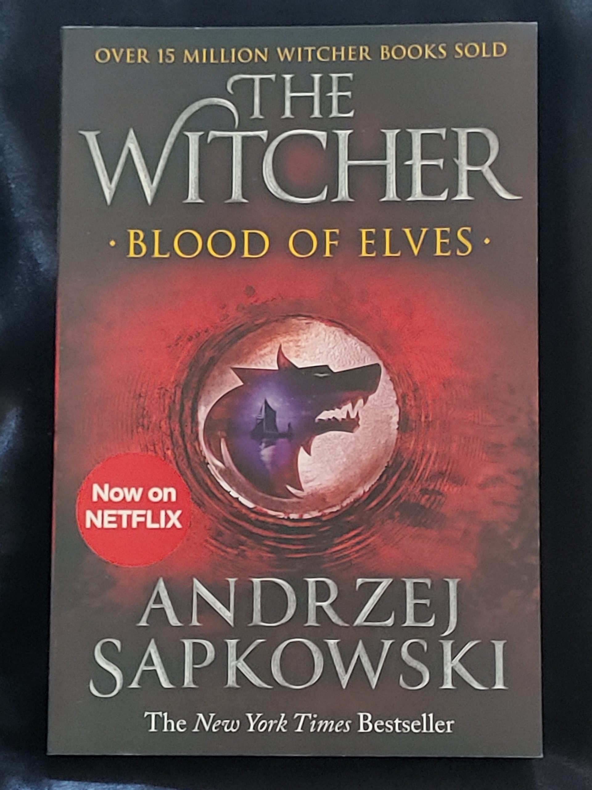 Blood of Elves by Andrzej Sapkowski