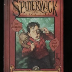 The Seeing Stone by Tony DiTerlizzi and Holly Black
