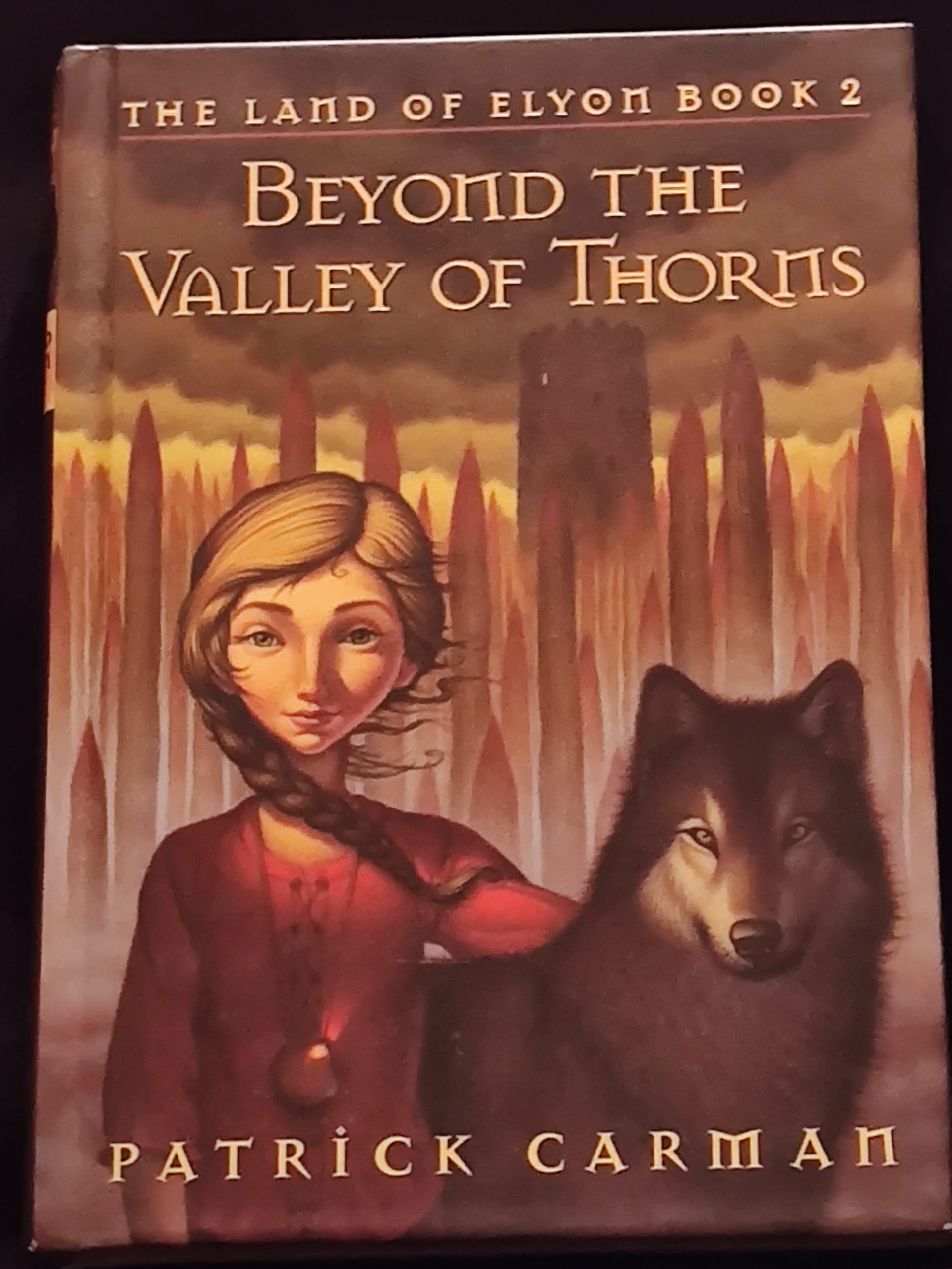 Beyond the Valley of Thorns by Patrick Carman