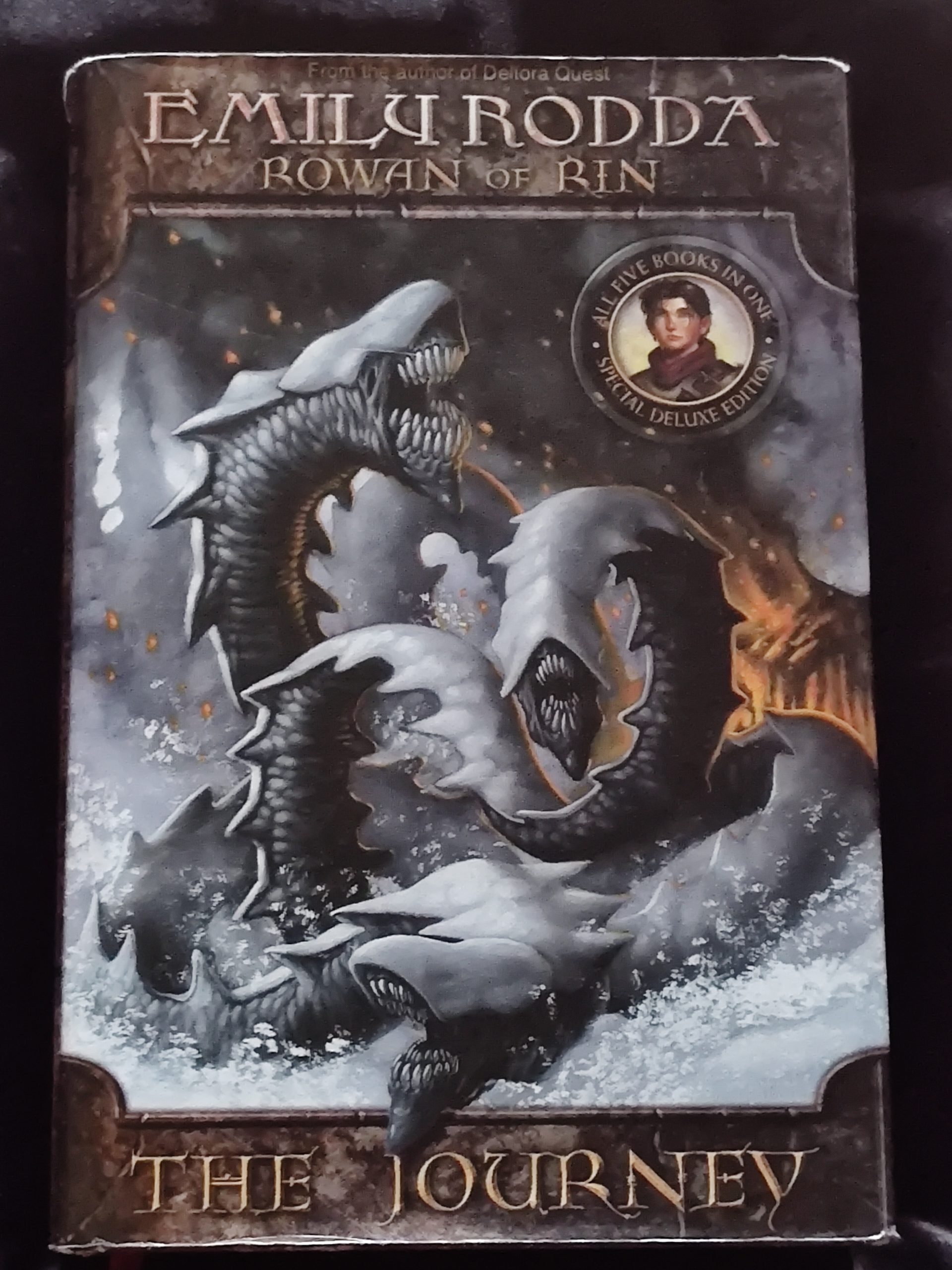 Rowan of Rin: The Journey by Emily Rodda